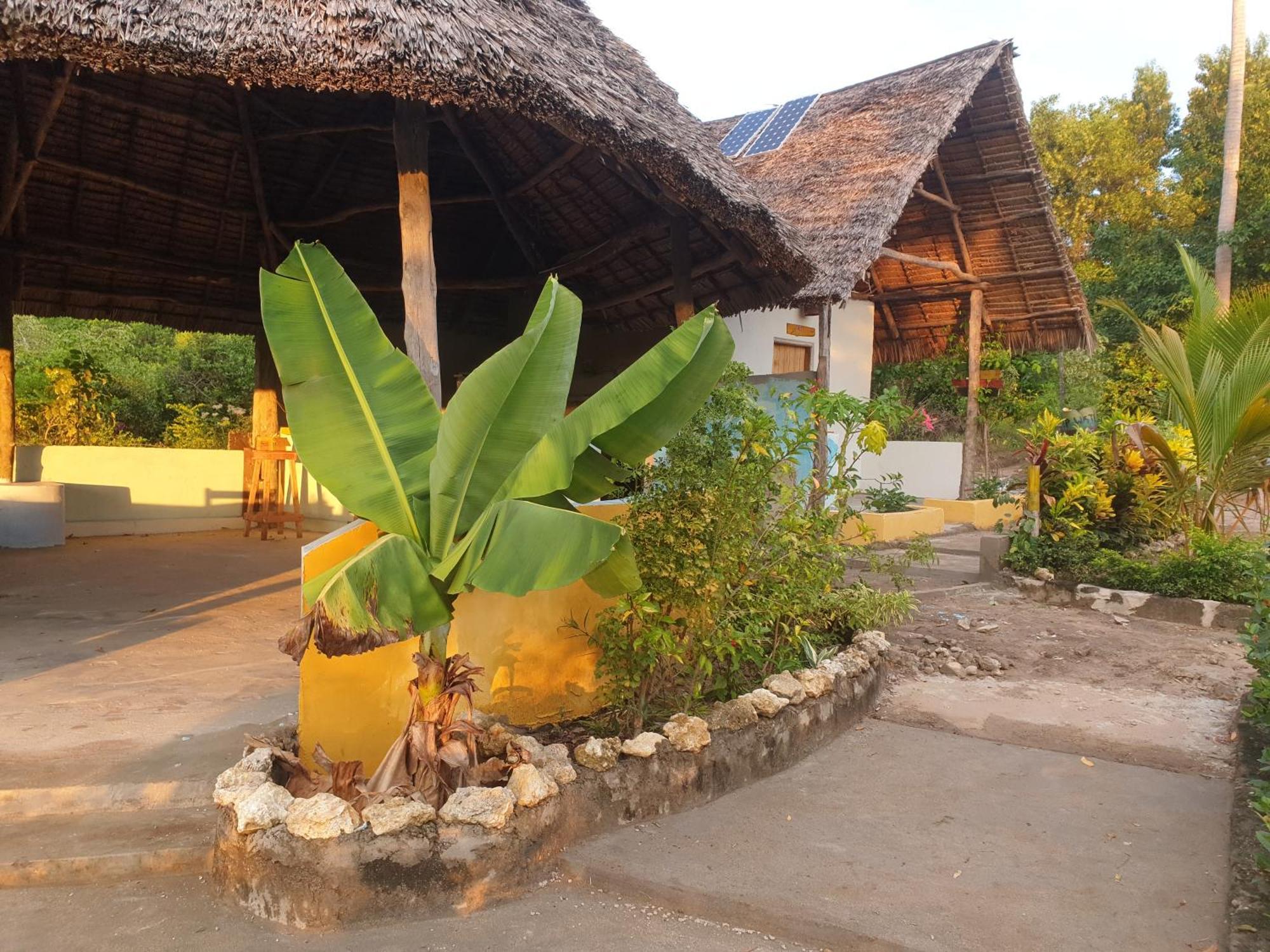 Bed and Breakfast Rasta House Kilindoni Zewnętrze zdjęcie